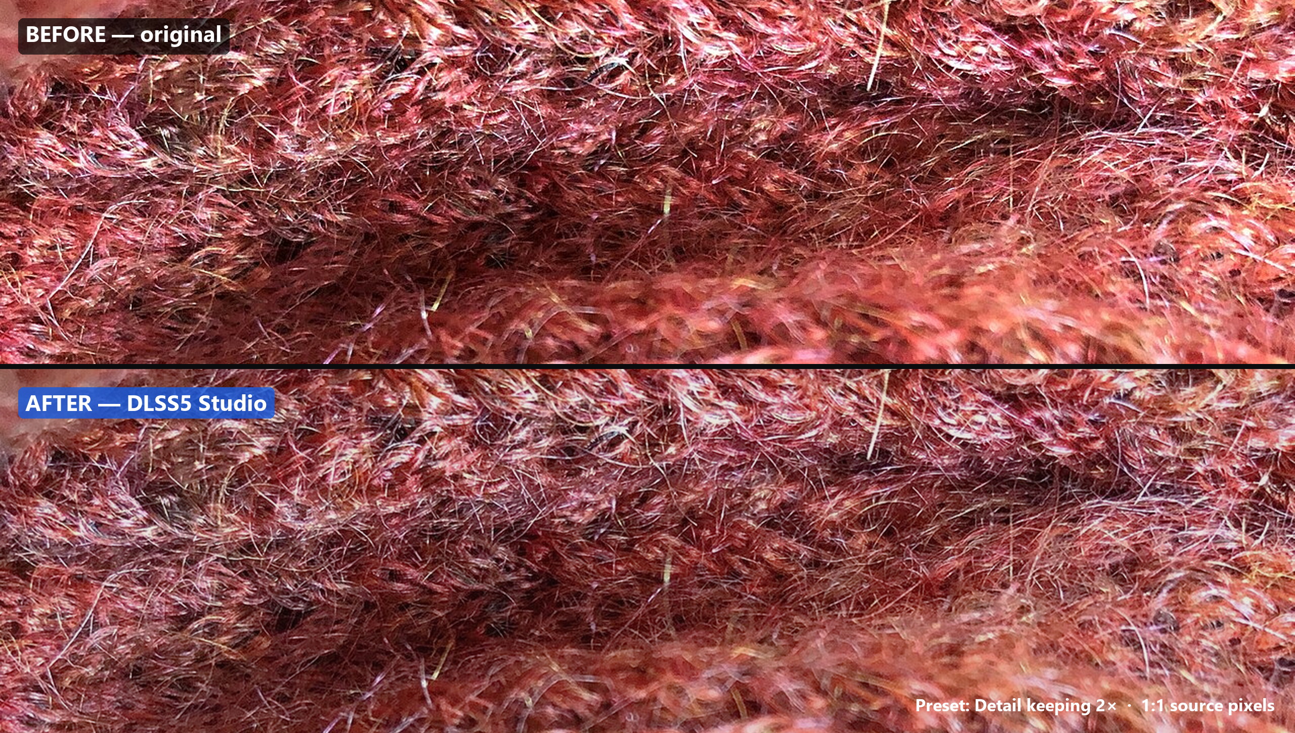 Red wool macro 1:1 detail comparison