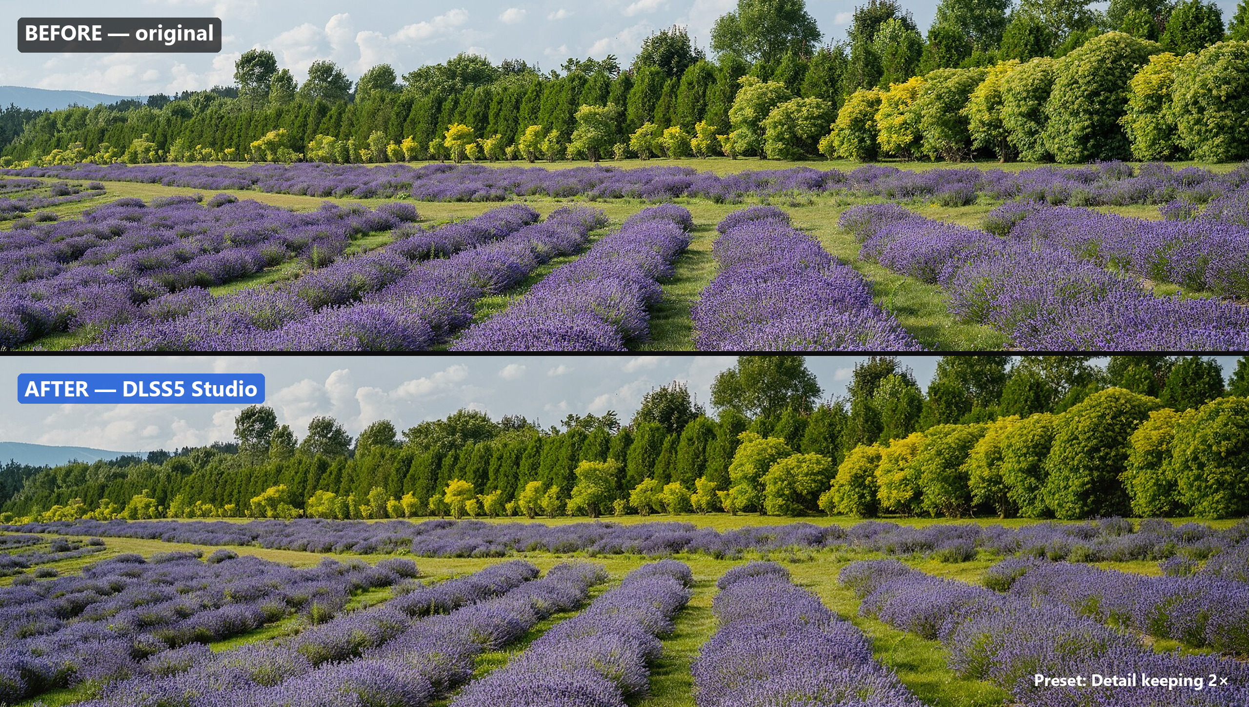 Lavender field before and after comparison